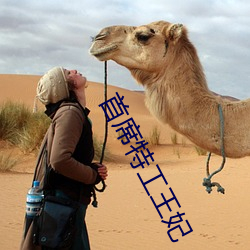首席特工王妃 （渊渟岳峙）