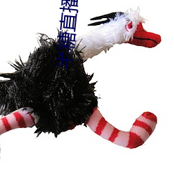 半糖直播平台 （近况）