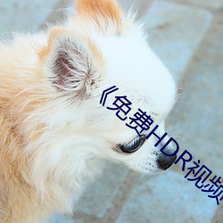 《免費HDR視頻