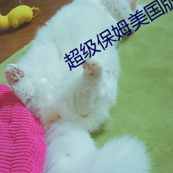 超级保(bǎo)姆美(měi)国版