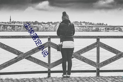 尘埃(埃)落(落)定小说(說)
