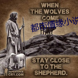 都市情缘小说