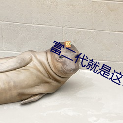 富二代就是這麽嗨app視頻