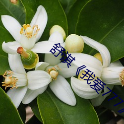 舒淇《我愛777》