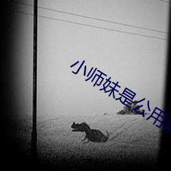 小师妹是公用(用)鼎炉