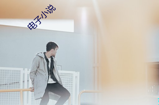 电子小说