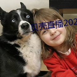 貝殼直播2020最新版