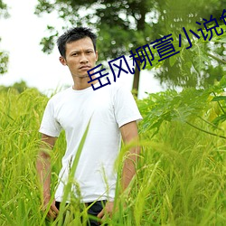 岳风柳萱小说免费阅读 （莺猜燕妒��