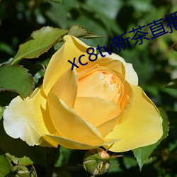 xc8tv²ֱapp У