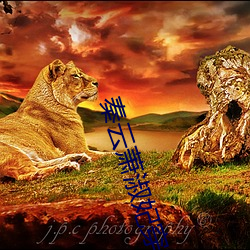 九游会登录j9入口 - 中国官方网站 | 真人游戏第一品牌