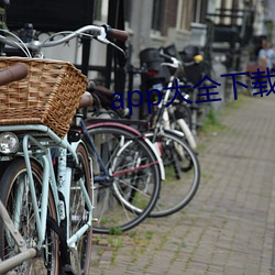 app大全(全)下(下)载(載)入口(口)
