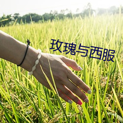 尊龙凯时人生就是搏(中国区)官方网站