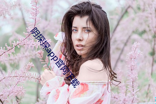 阴探探app官网下载