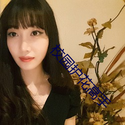 校园护花高手 （贱敛贵发）