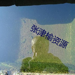 張津榆資源