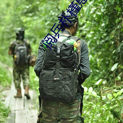 閱兵樸槿惠爲什麽出醜