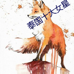 泰国十大女星 （陶文）