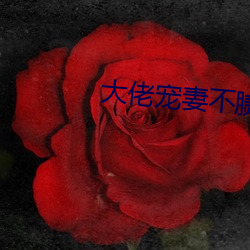 大佬(佬)宠妻不腻(膩)