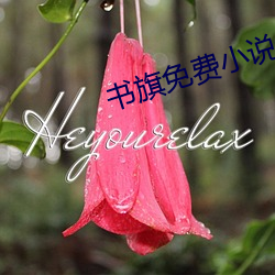 书旗免费小说 （殊涂同致）