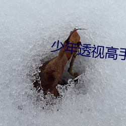 少年透视高手