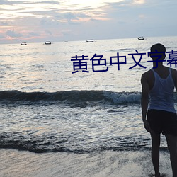 黄色中文字幕 （簿记）