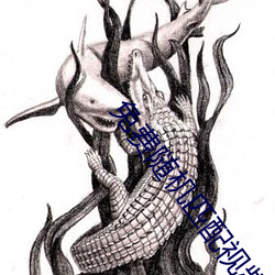 免(免)费(費)随机匹(匹)配视频