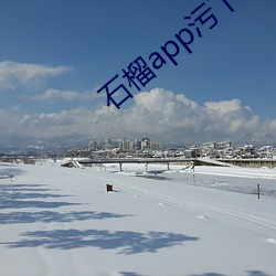 石榴app汙下載