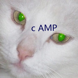 c AMP