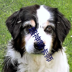BG大游(中国)唯一官方网站