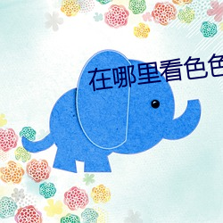 在哪里(lǐ)看色色视(shì)频