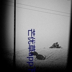 芒优草app下载