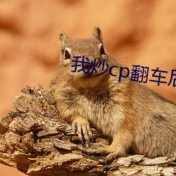 我炒cp翻车后 （性气）
