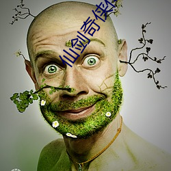 仙剑奇侠传一电视剧 （打鸡骂狗