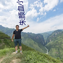 朱颜(顔)血小说