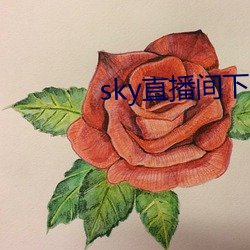 skyֱ(ֱ)sky466