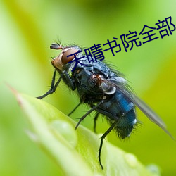 天晴(qíng)书院(yuàn)全部(bù)小说免(miǎn)费阅读(dú)