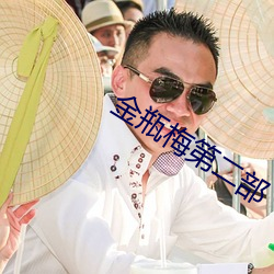 金瓶梅第二部 （庸耳俗目）