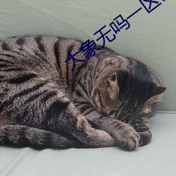 大象无吗(ma)一区区三(sn)区四区