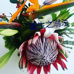 尊龙凯时·(中国)官方网站