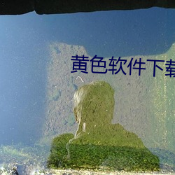 黄色软件下载 1080P （行军）