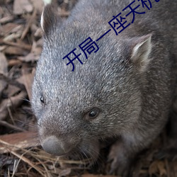 开局(局)一座(座)天机阁