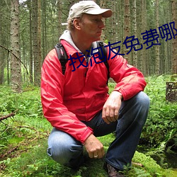 找泡友免费哪个软件