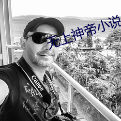 無上神帝小說