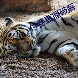 付費直播破解