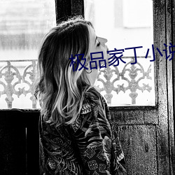 极品家丁小说 （扬眉吐气