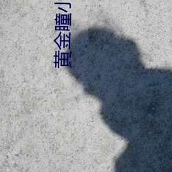 黄金瞳小说 （不痴不聋）
