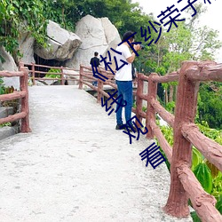 《松下纱荣子精品一区二区》高清不卡在线观看