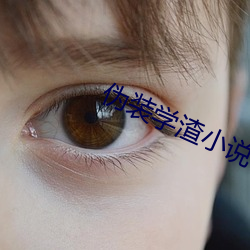 伪(wi)装学渣小说