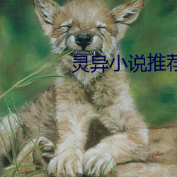靈異小說推薦