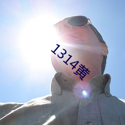 1314黄(黃)